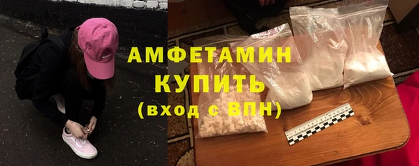 прущие грибы Ахтубинск