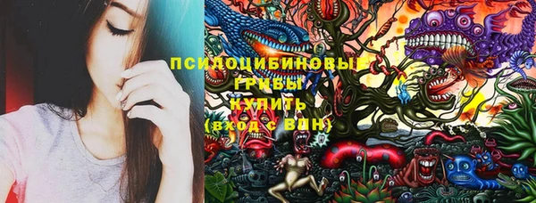 МДМА Бородино