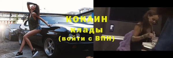 мдпв Верея