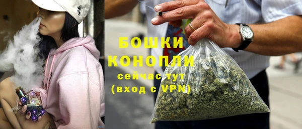 гашик Бронницы
