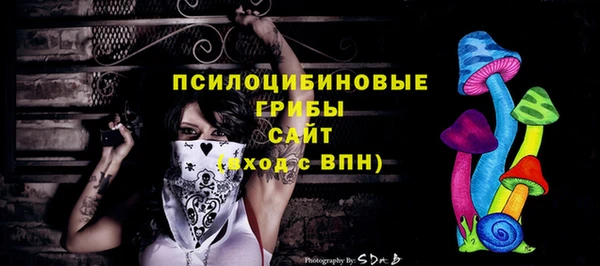 соль курить ск Медвежьегорск