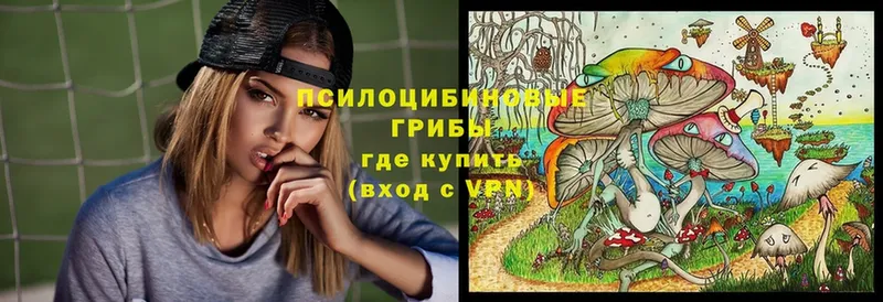 Псилоцибиновые грибы Magic Shrooms  Верхоянск 